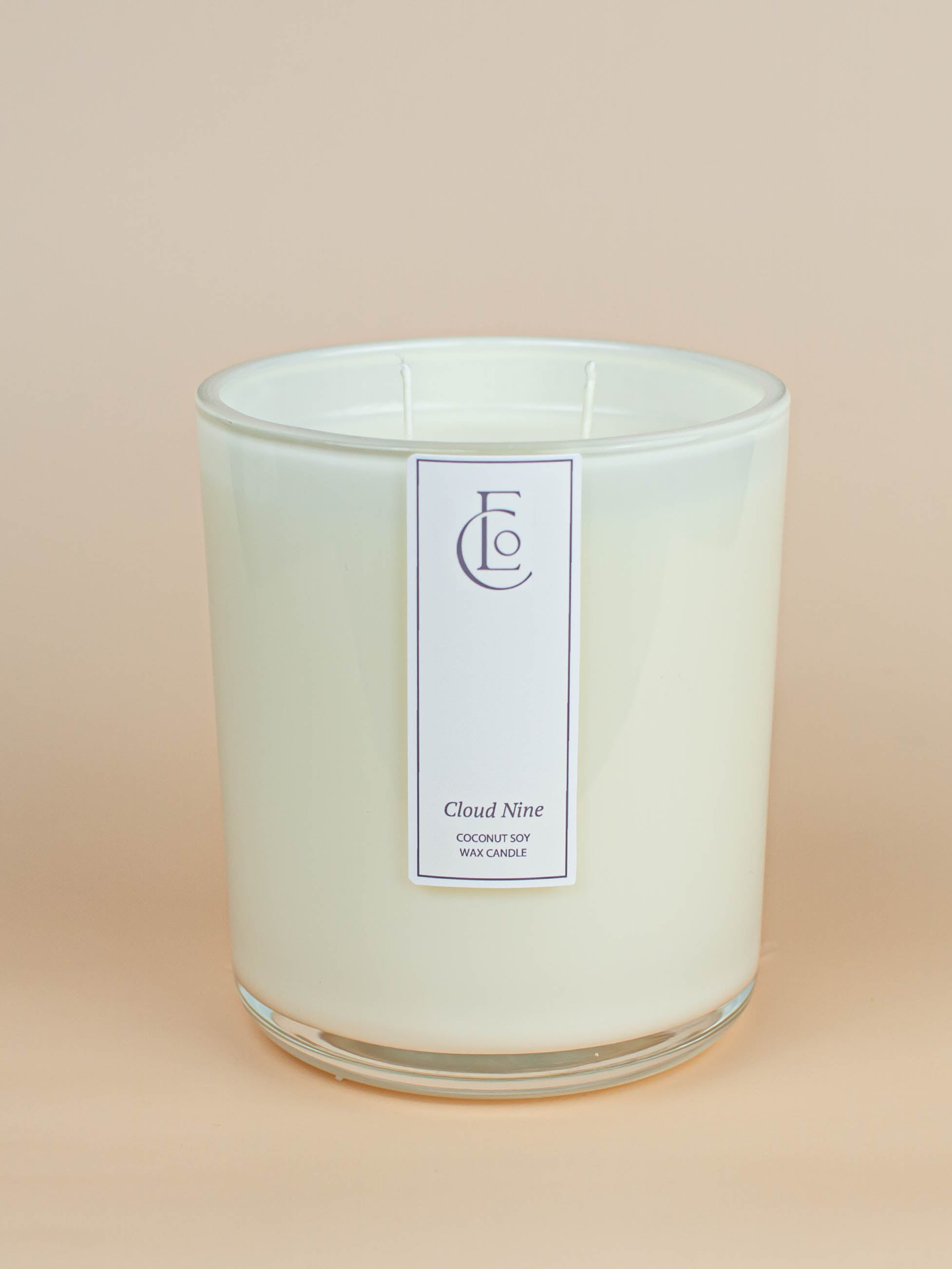 Cloud Nine Candle | Plum + Sea Salt + Amber