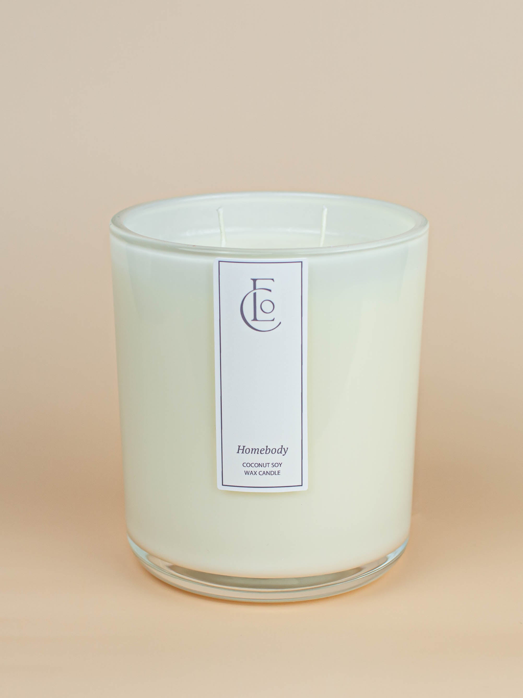 Homebody Candle | Cashmere + Jasmine + Amber
