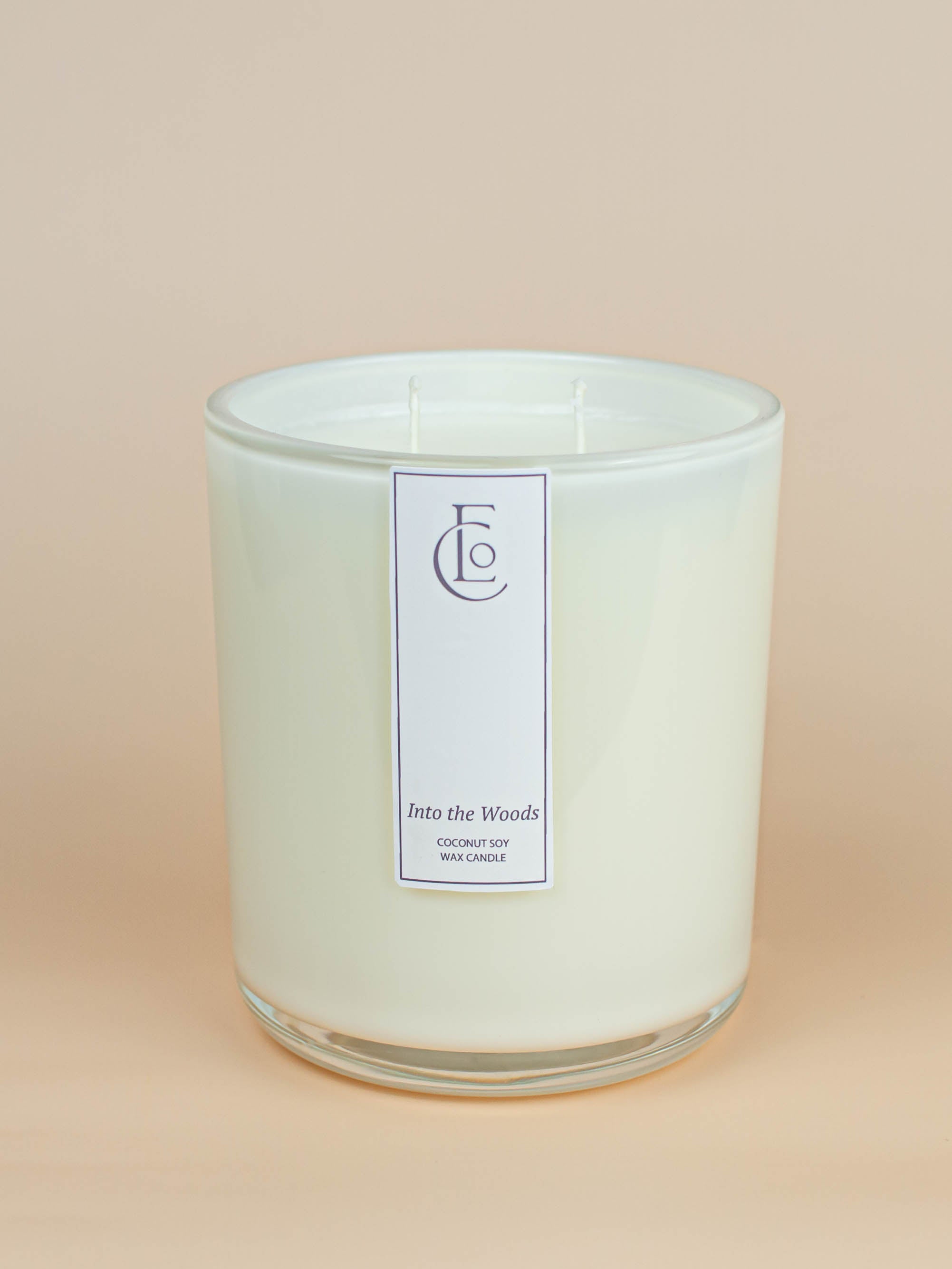 Into the Woods Candle | Vanilla + Smoky Woods + Musk