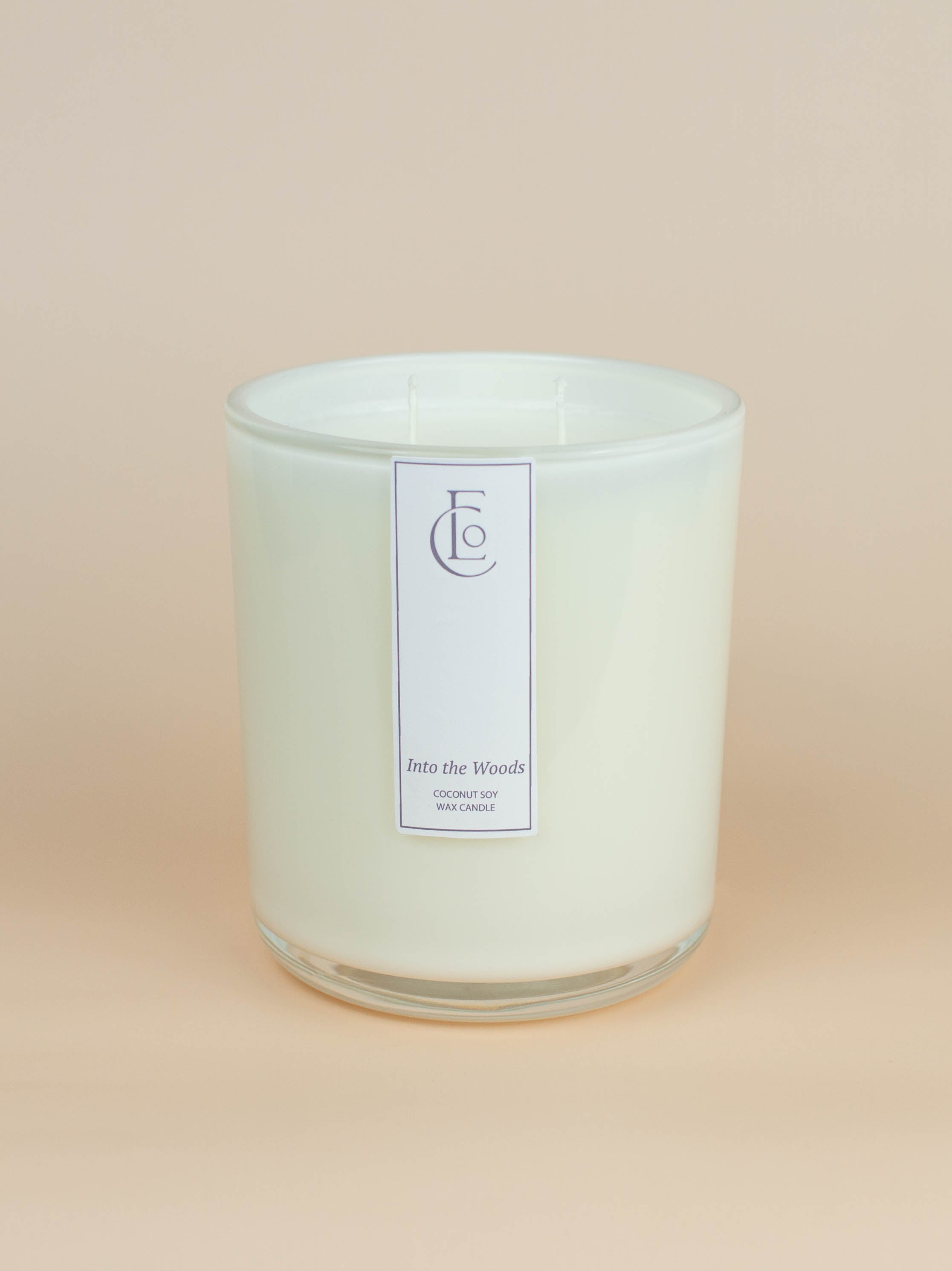 Into the Woods Candle | Vanilla + Smoky Woods + Musk
