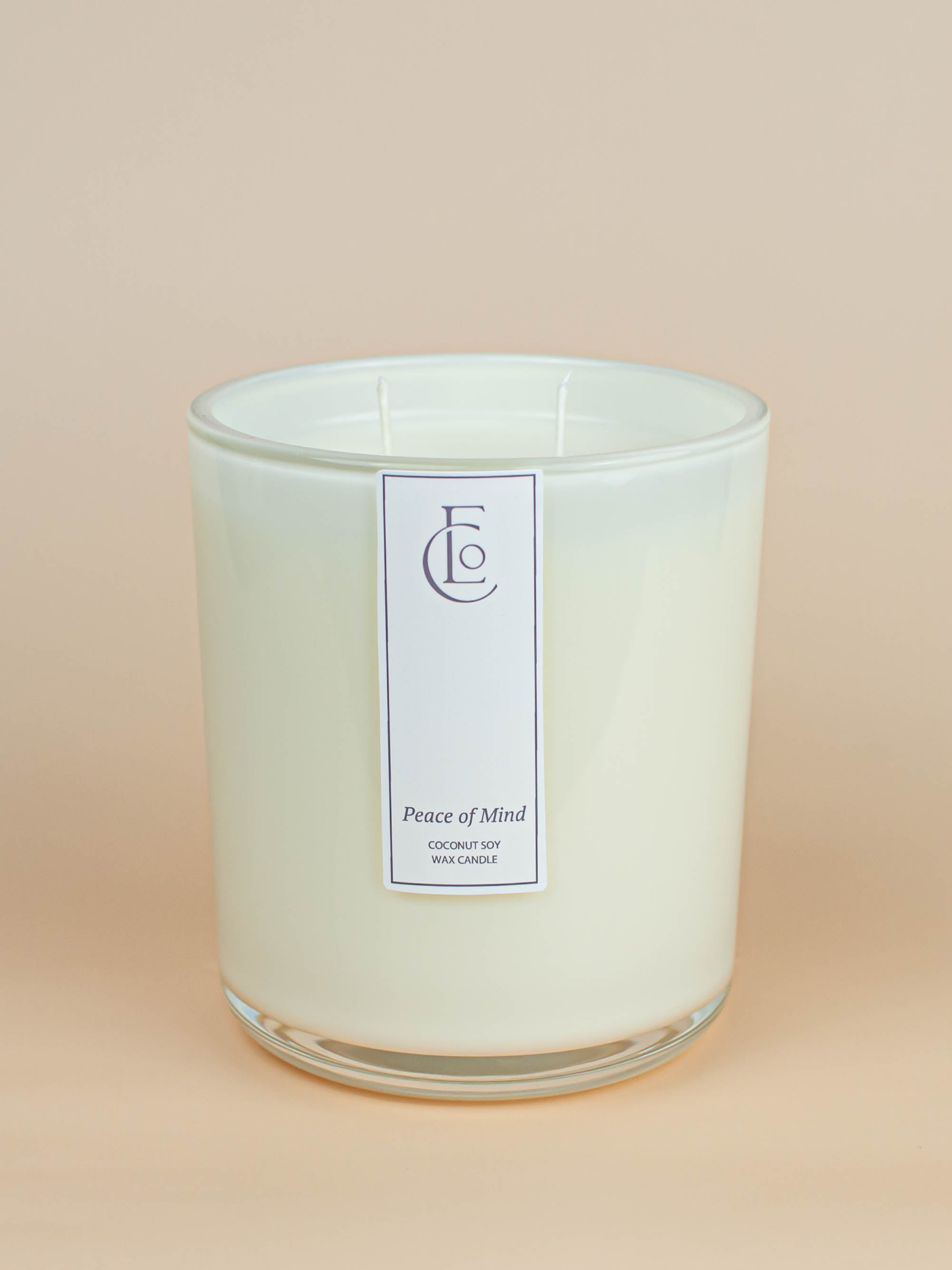 Peace of Mind Candle | Mint + Eucalyptus + Sage